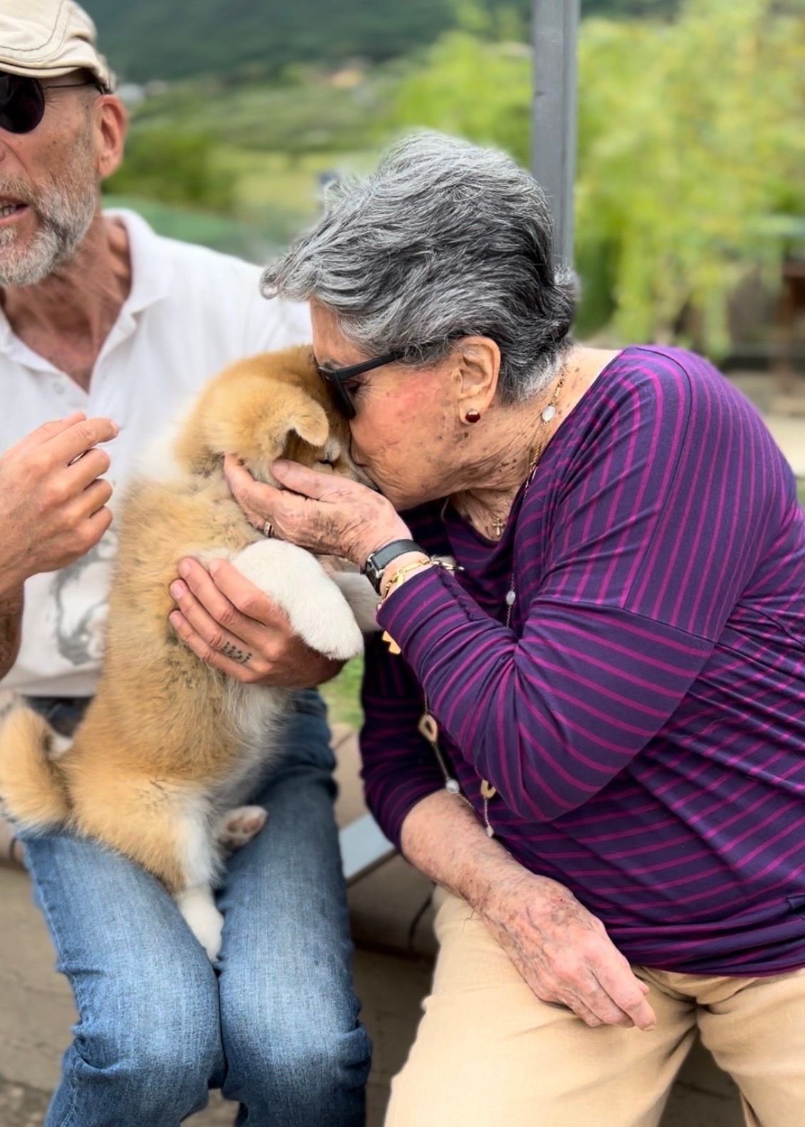 Akita nelle famiglie — foto 31