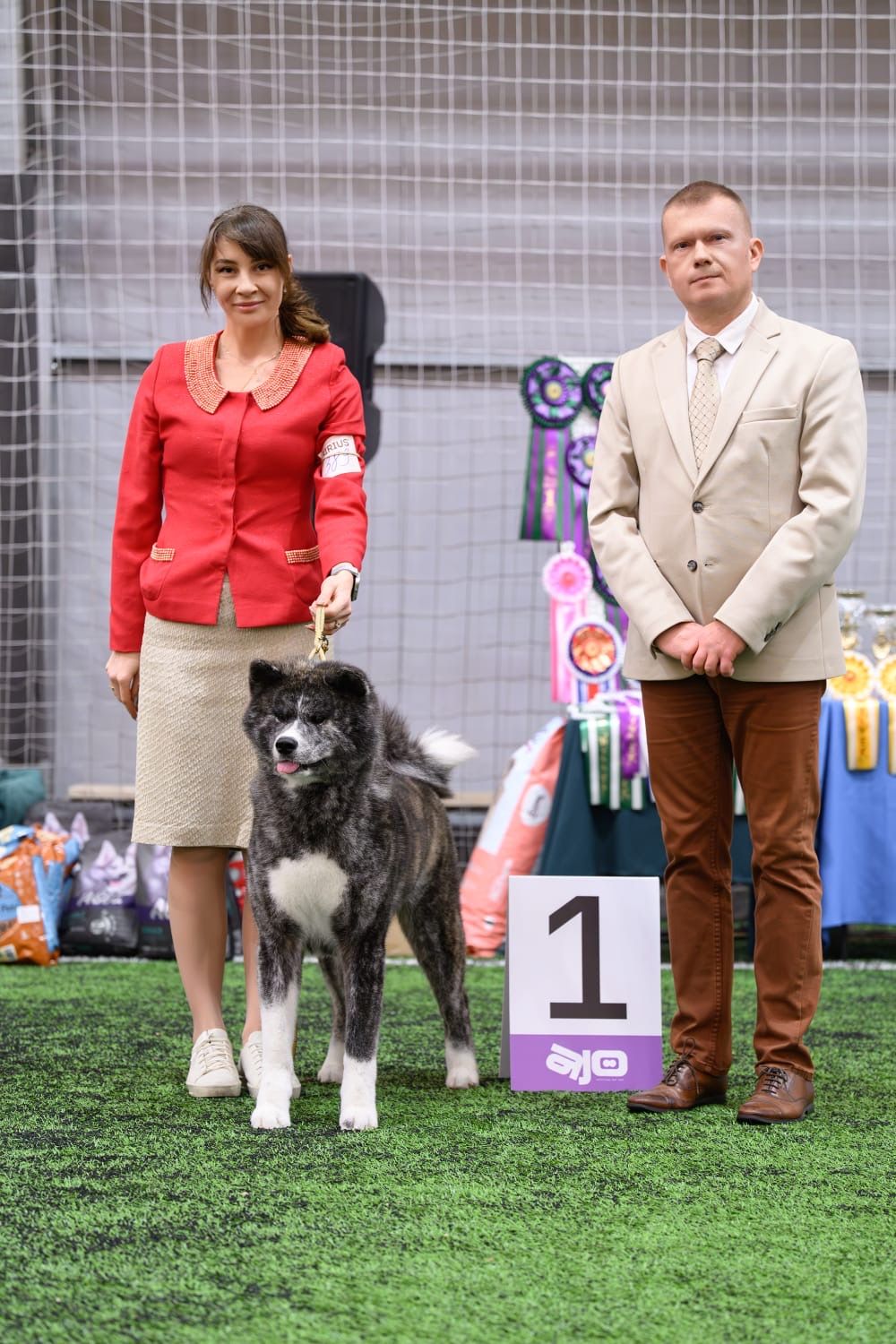 Akita in esposizione 102
