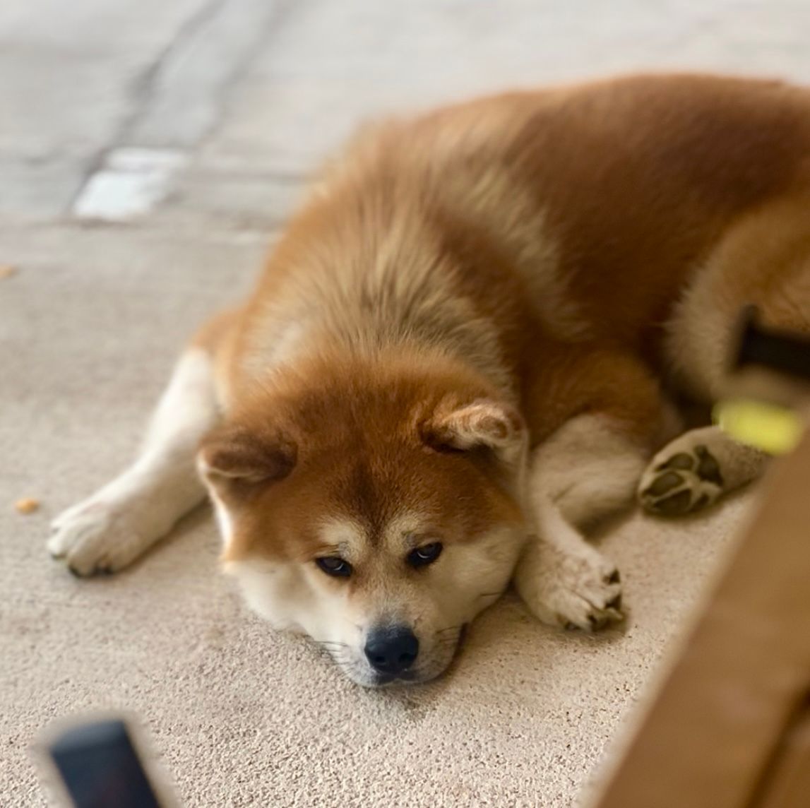 Taihei — foto 9