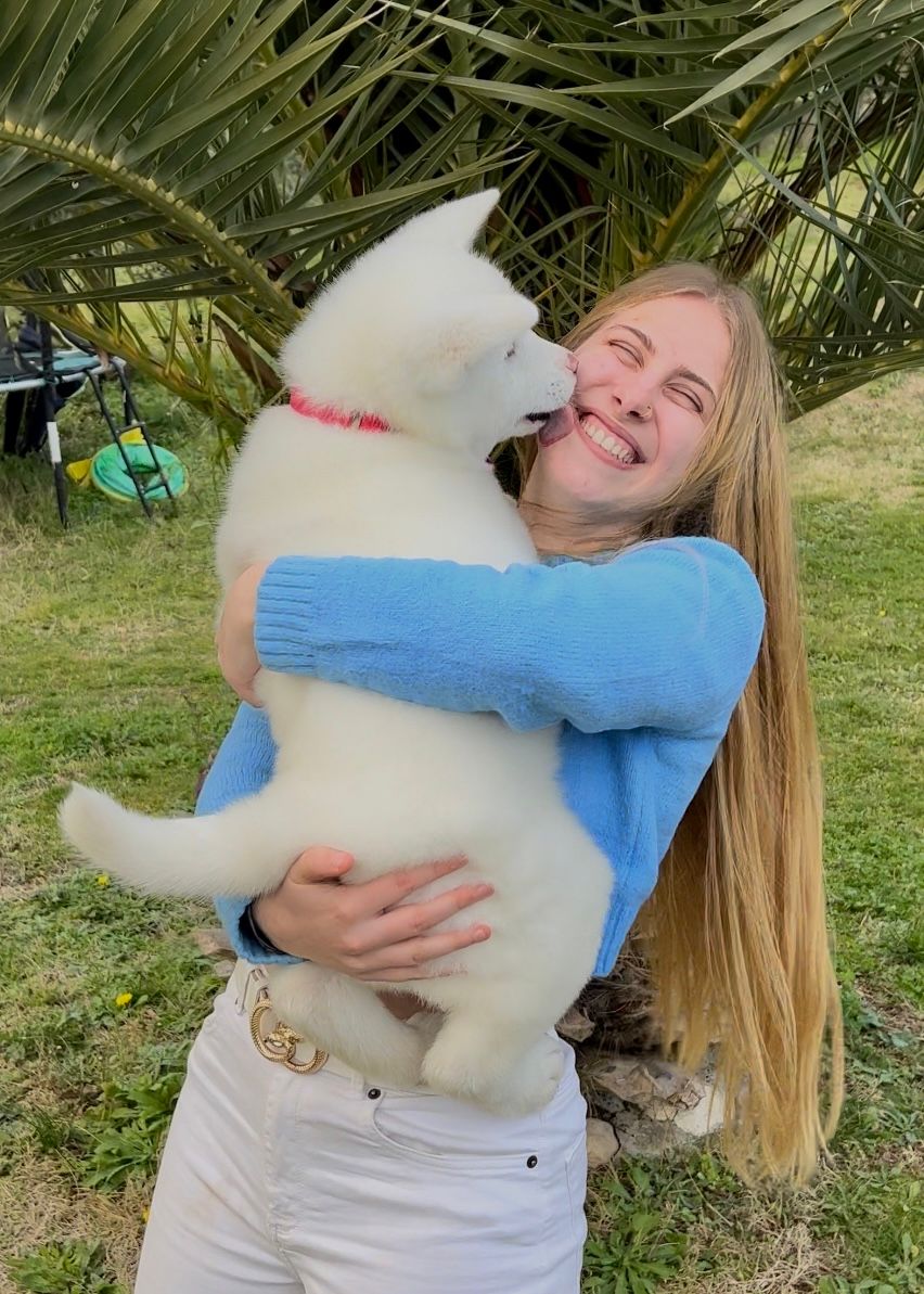 Akita nelle famiglie — foto 16