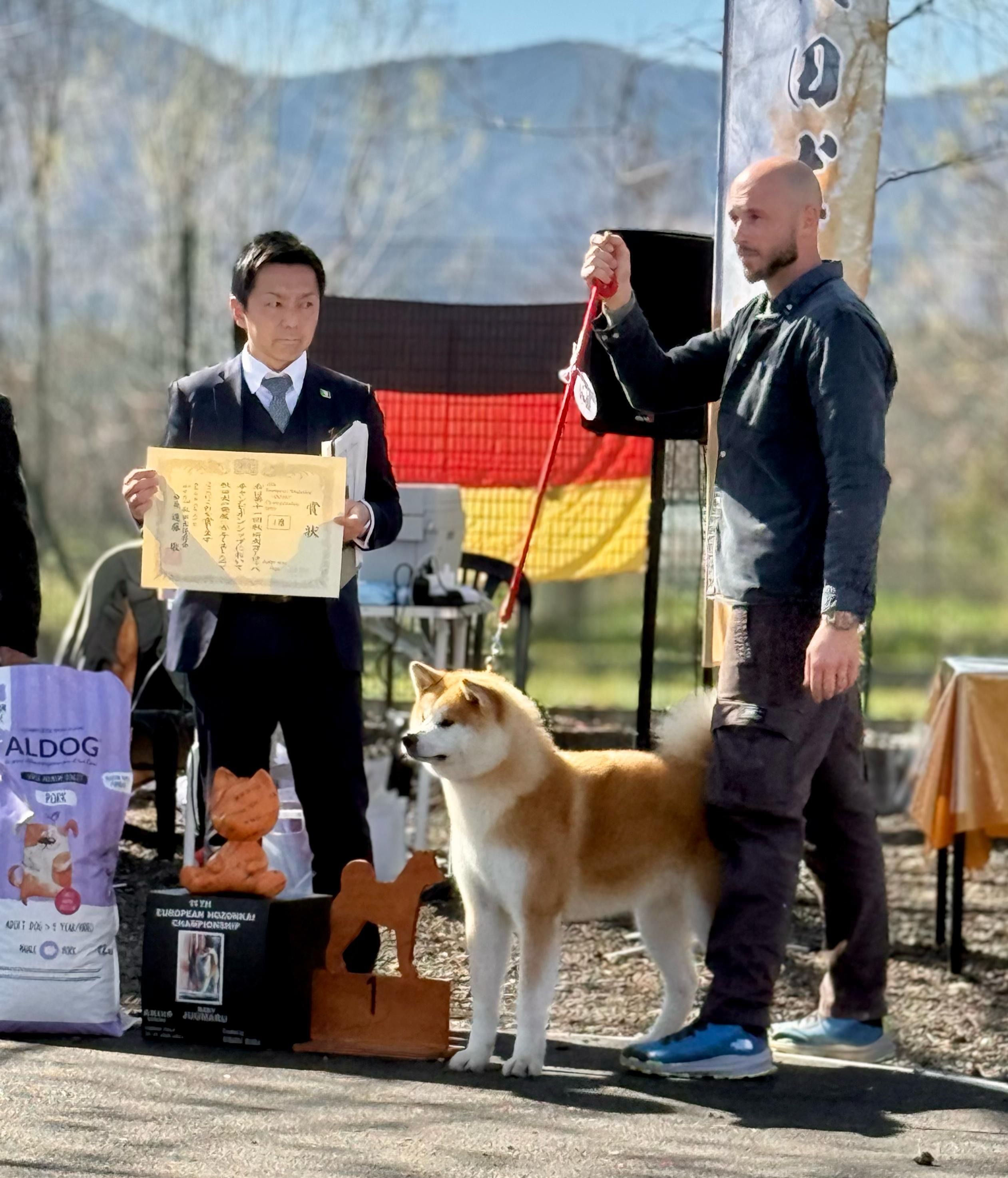 Akita in esposizione 42