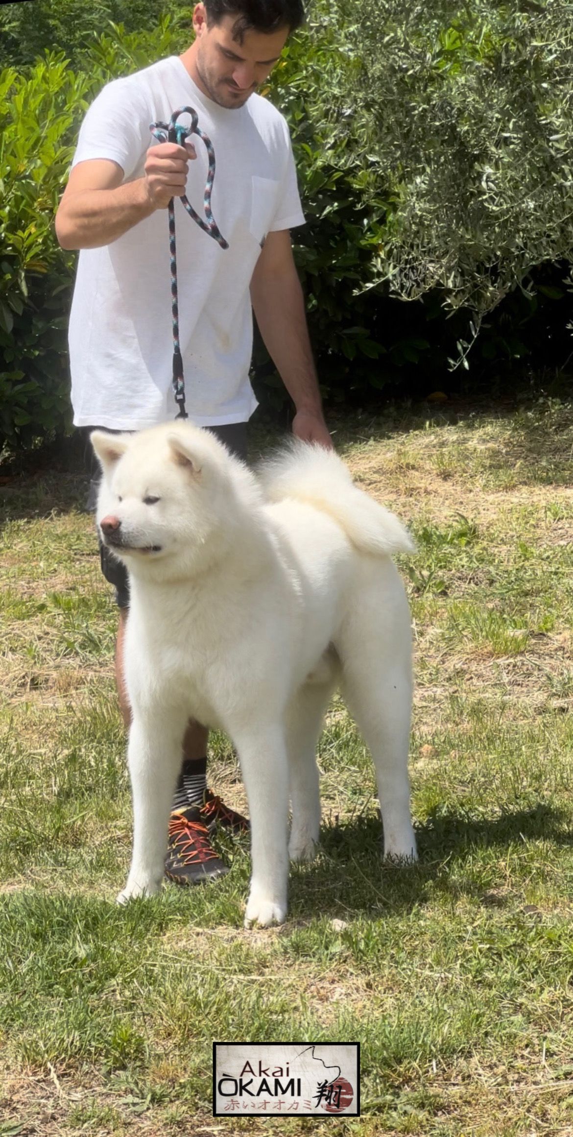 Yuuma — foto 3