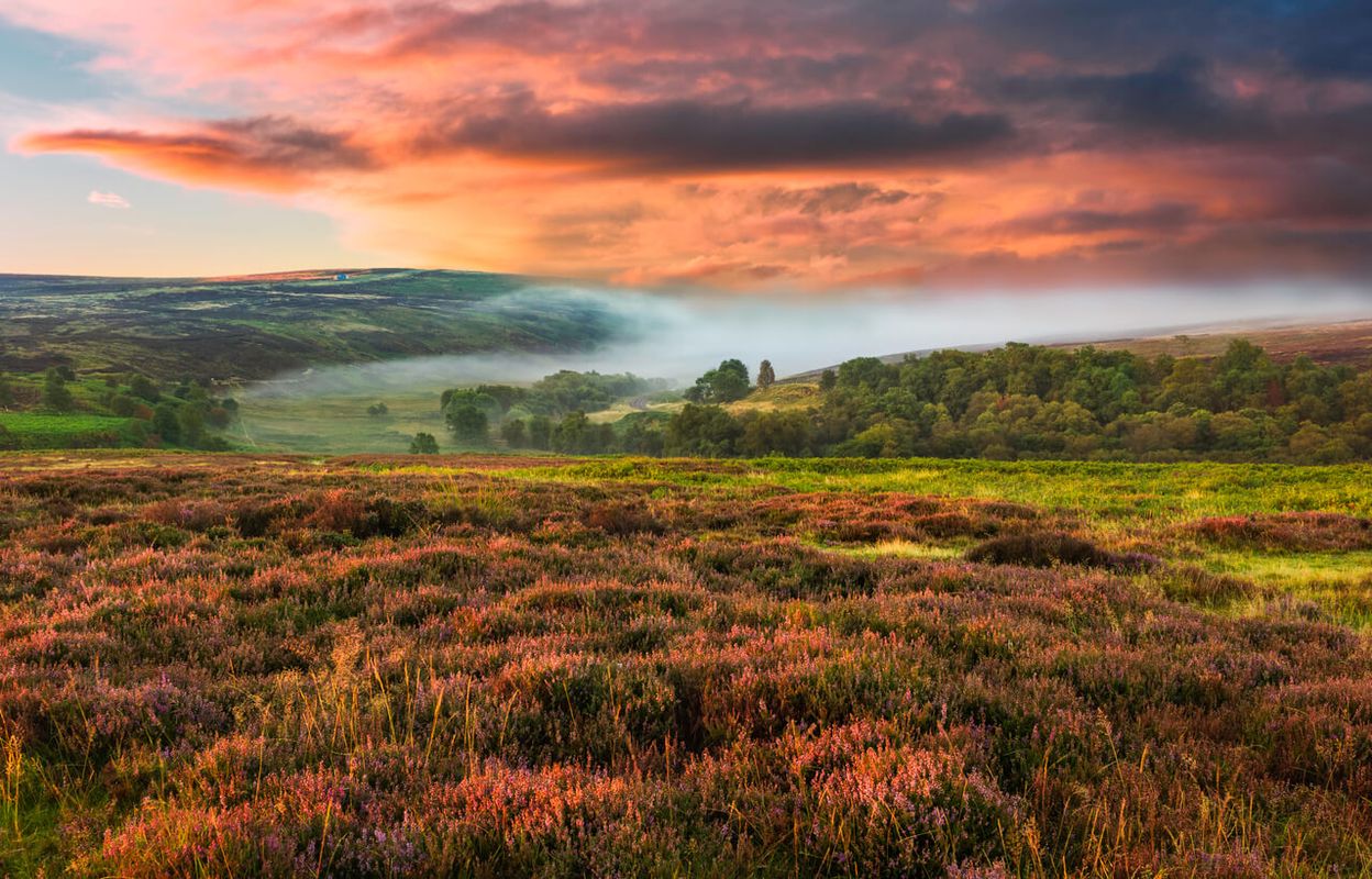 North York Moors