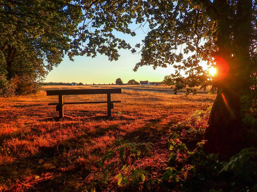 Hertfordshire Countryside & The Black Horse, Brent Pelham