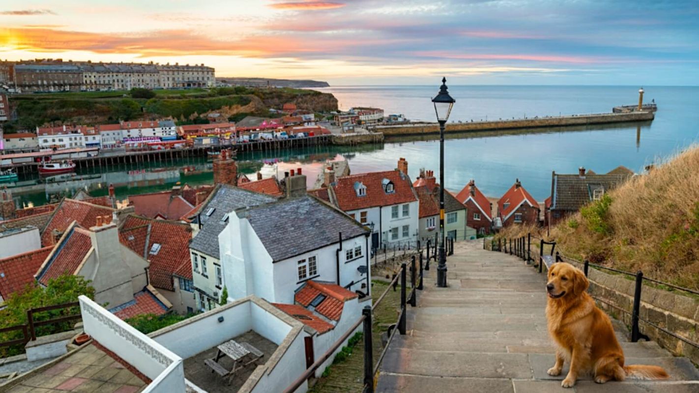 Whitby dog