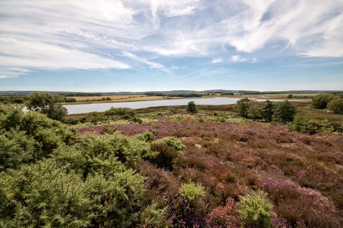 Arne Nature Reserve