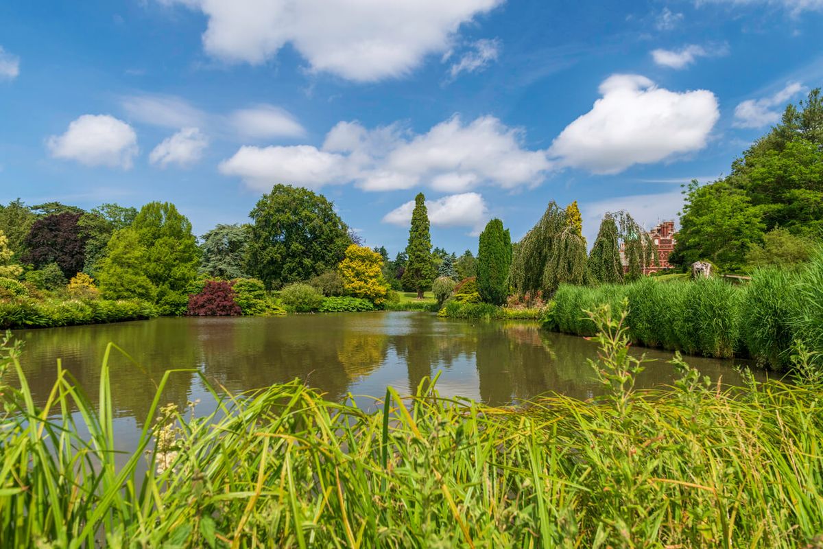 The Pinewoods, Sandringham, Norfolk