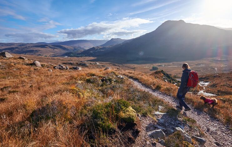 an image of Highlands dog-friendly cottages with an enclosed garden
