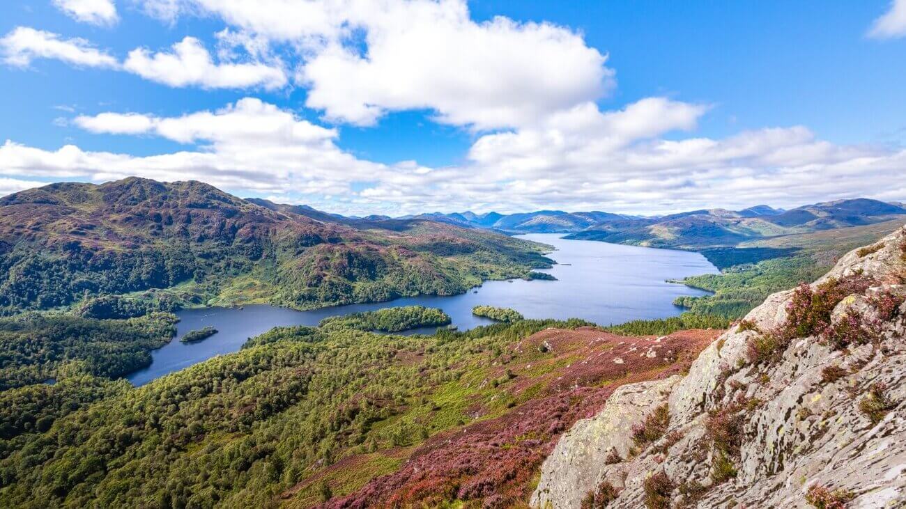 an image of Luxury dog friendly cottages in Loch Lomond