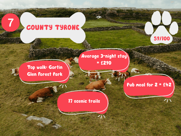 County Tyrone