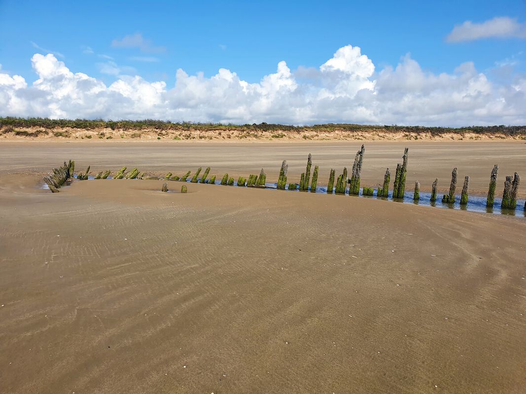 Carmarthenshire – Cefn Sidan (Pembrey Beach)
