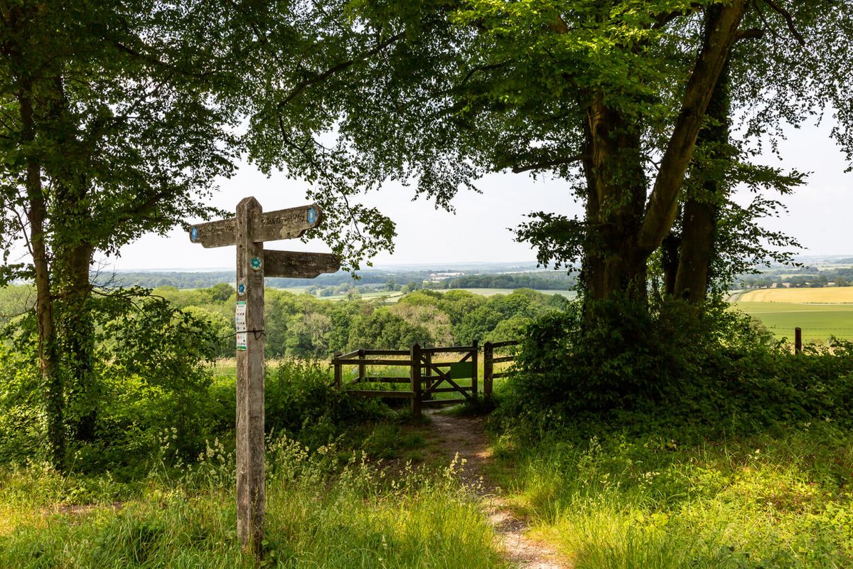 Queen Elizabeth Country Park, Hampshire