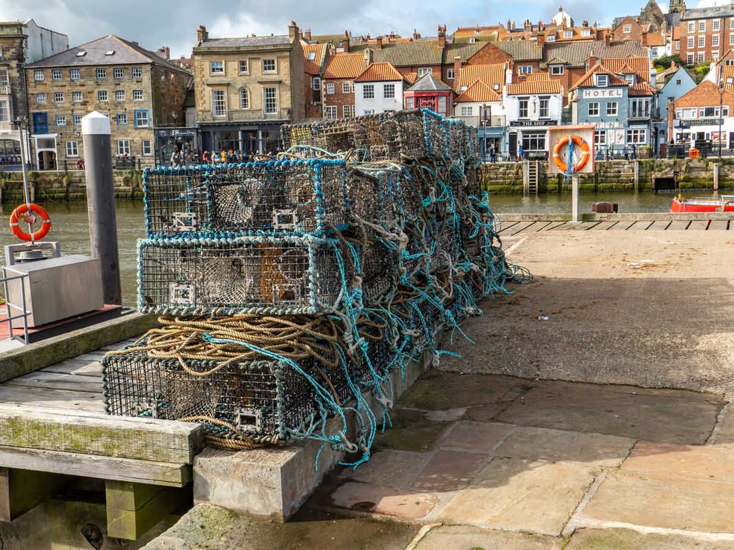 North Yorkshire & Malton