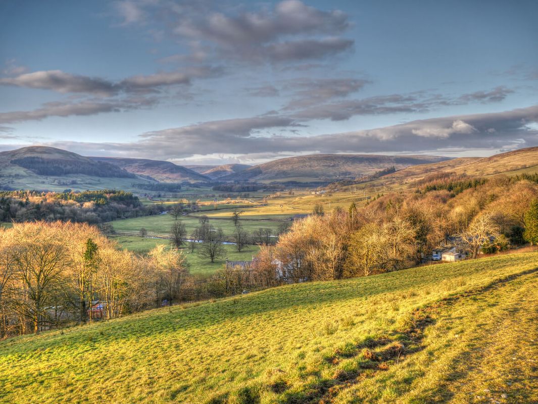 Beacon Fell Country Park, Lancashire