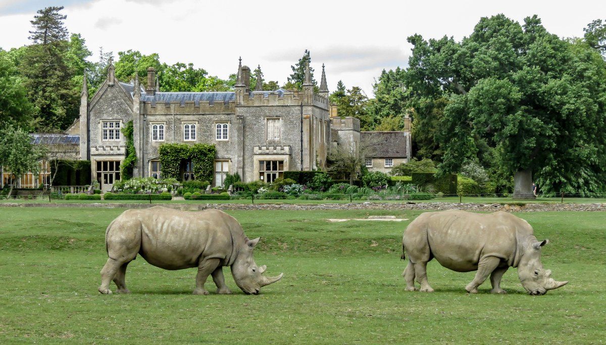 Cotswold Wildlife Park and Gardens in  Burford, Oxfordshire