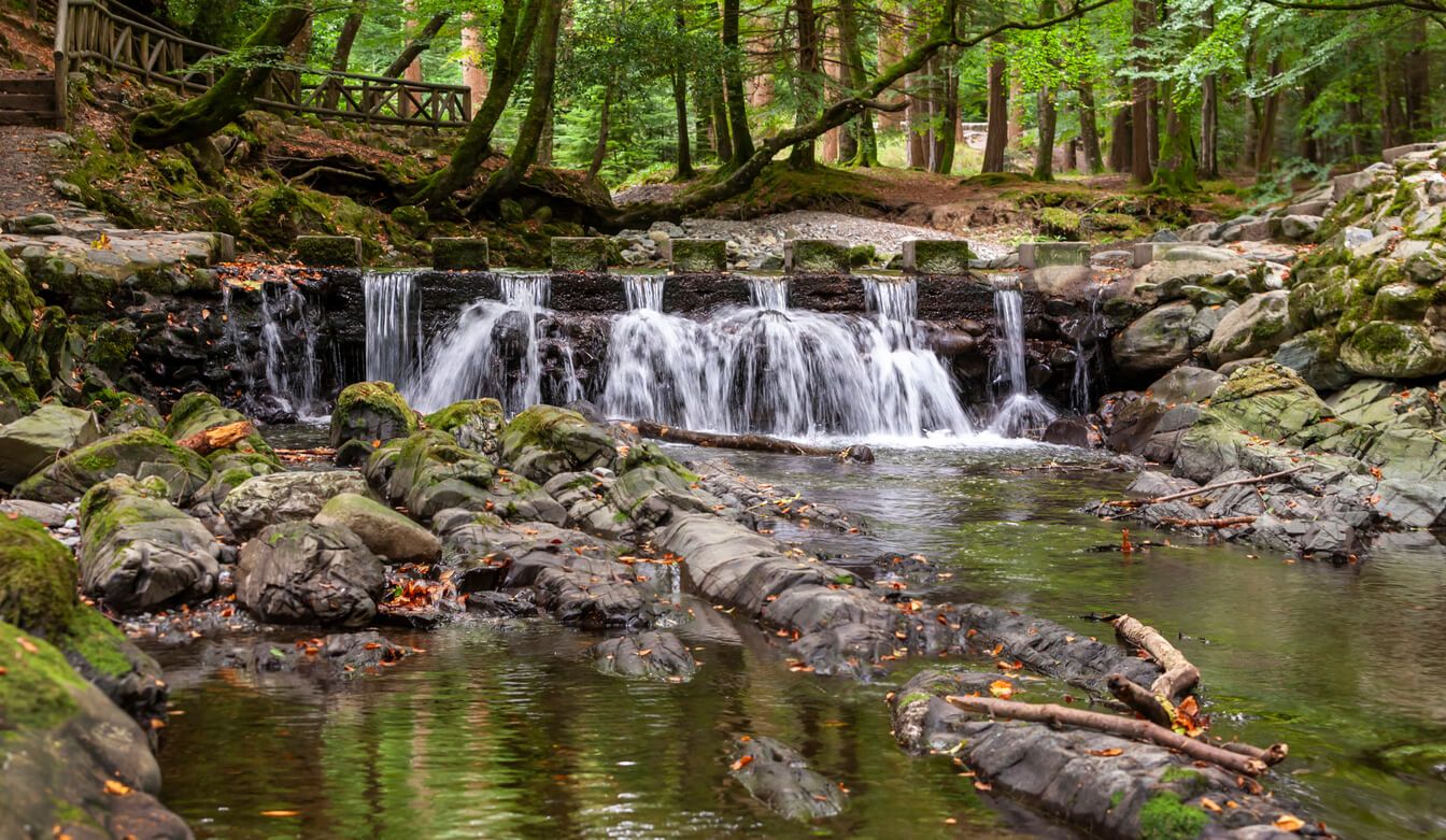 Tollymore Forest Park