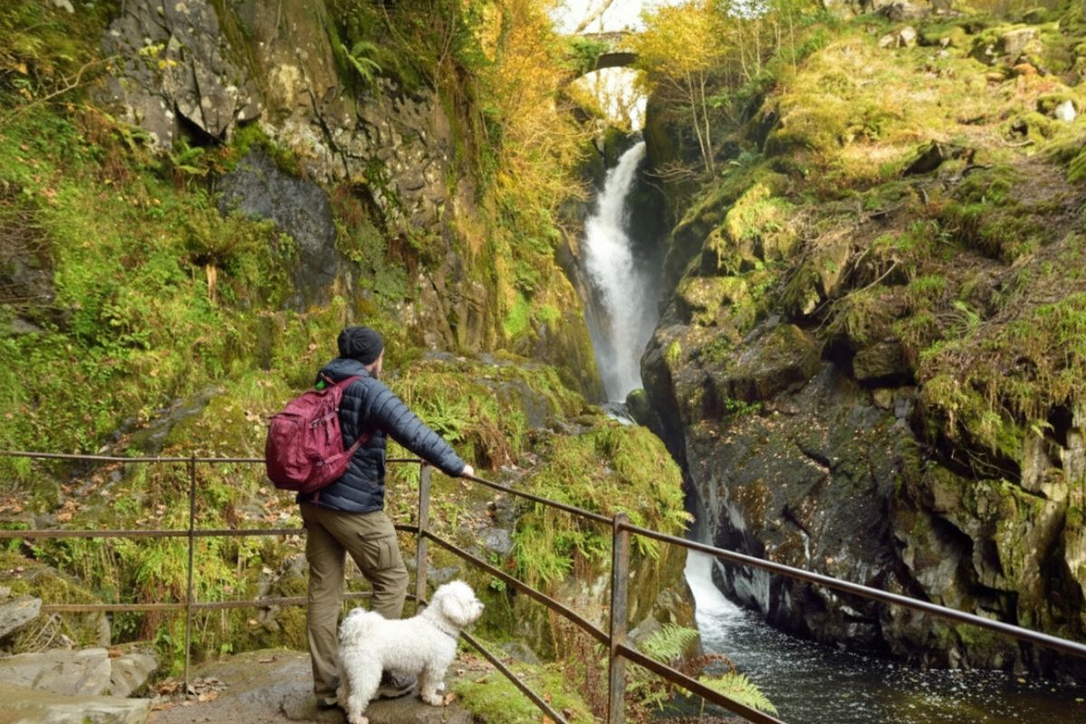 Aira Force waterfall
