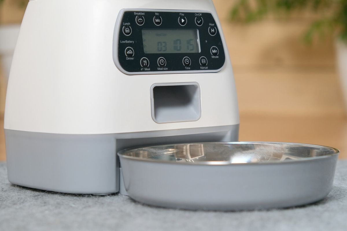 Smart feeders – keeping dinner on schedule, even when holiday plans change