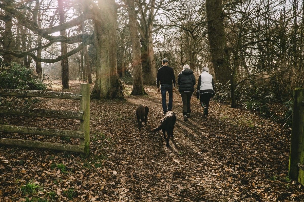A couple walk their dog in the woods of North Wales, Dog Friendly Cottage's pick for best UK pet friendly destinations