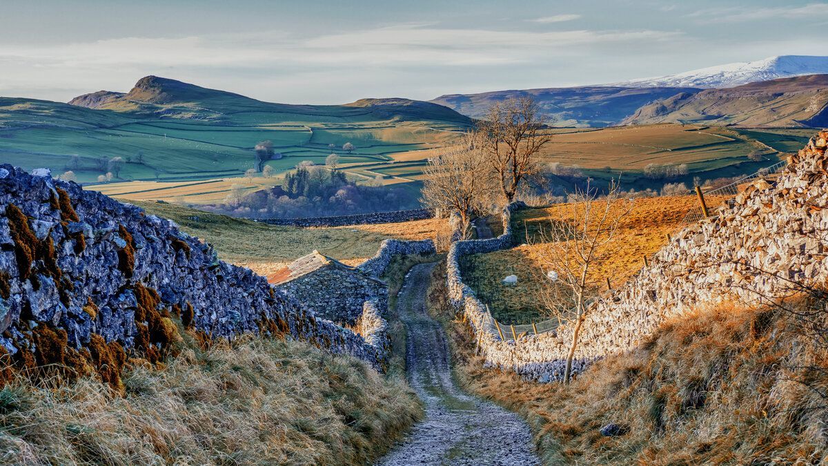 Dog Friendly Settle Holiday Cottages