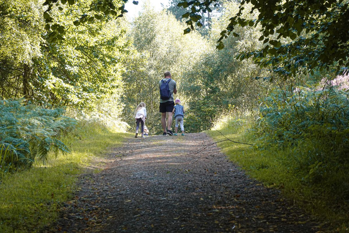 Gibside, Tyne & Wear