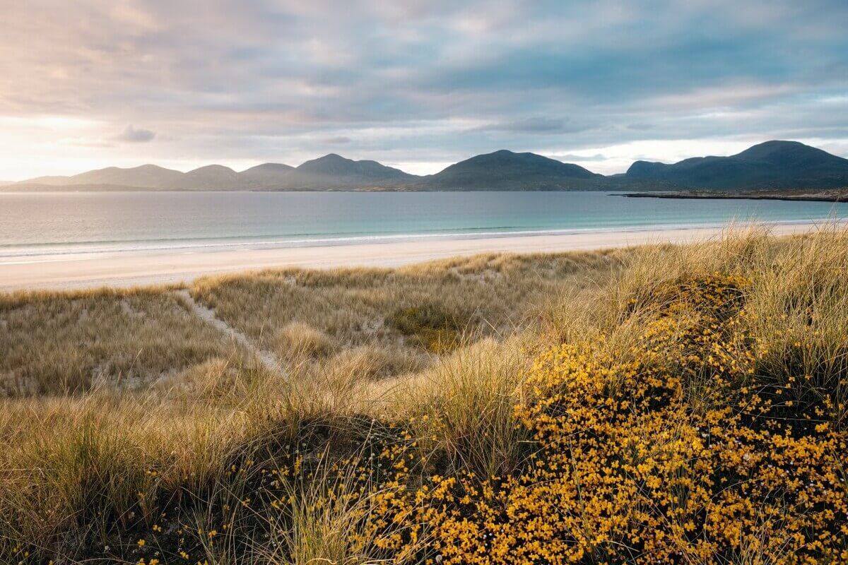 Luskentyre Sands
