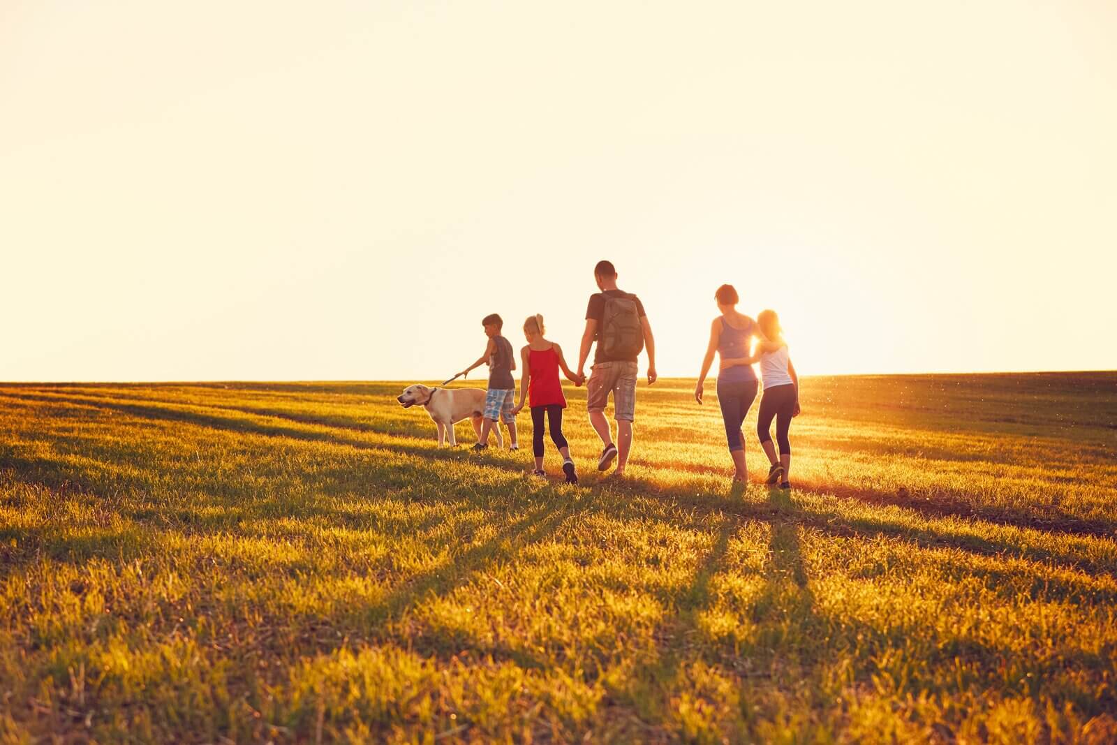 Dog and family on a countryside walk 
