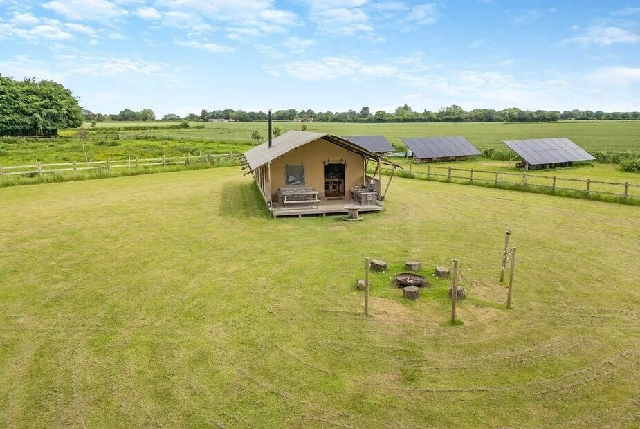 Muntjac, Dereham, Norfolk