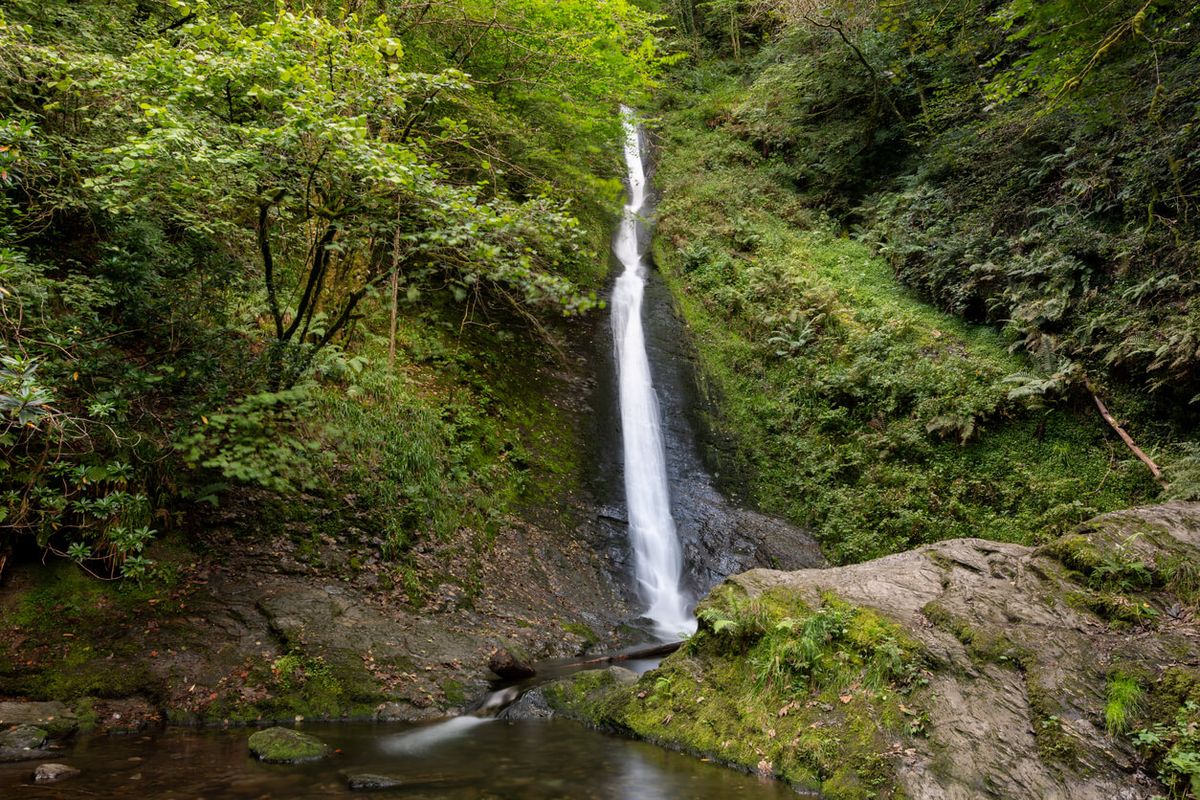 Lydford Gorge, Devon