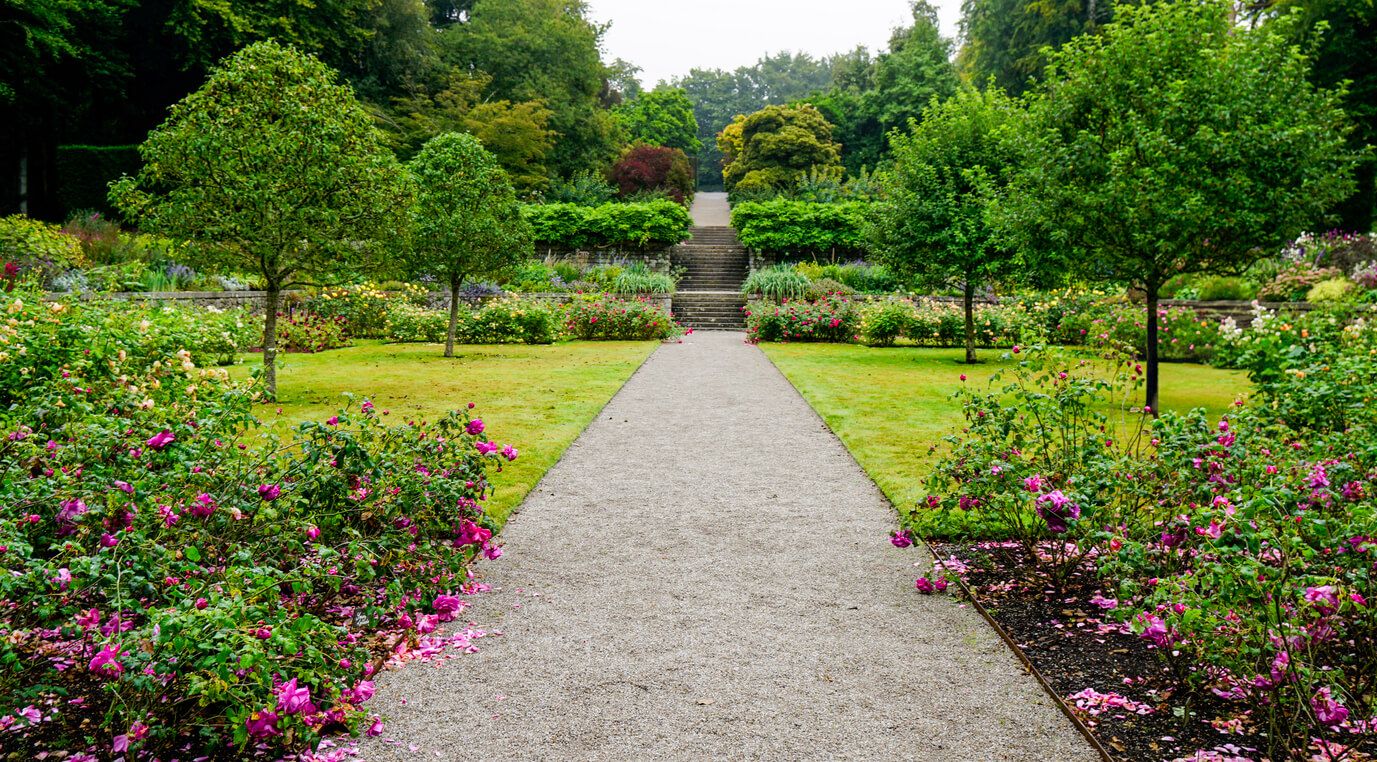 Trelissick Gardens, Cornwall