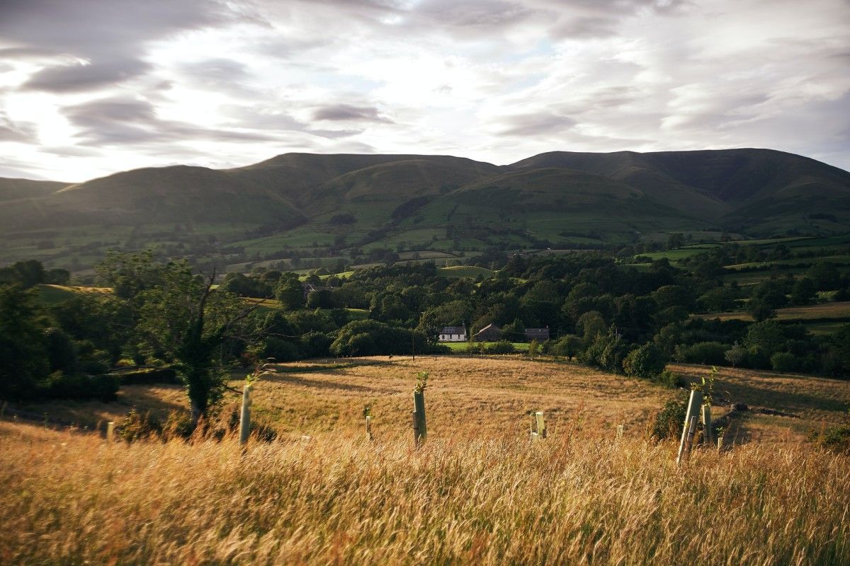 The beautiful landscape of Cumbria, Dog Friendly cottage pick for best pet-friendly travel destination
