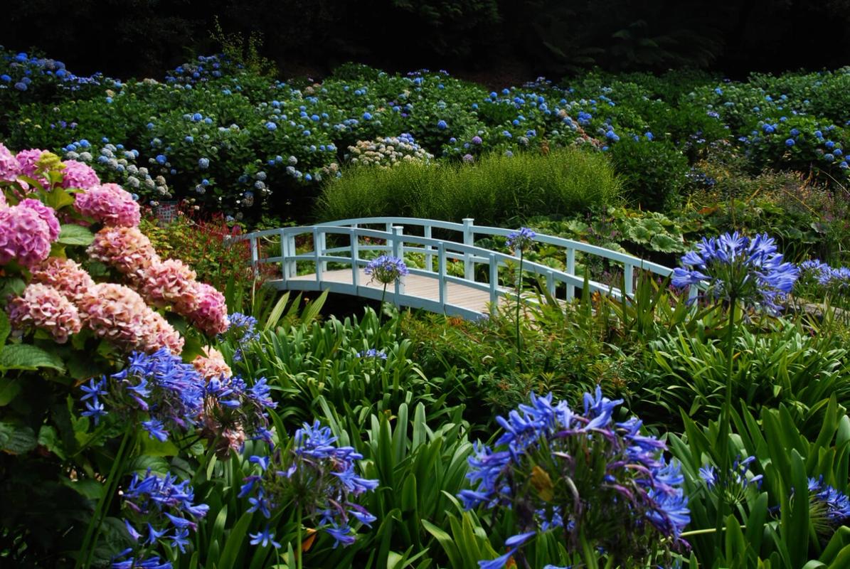 Trebah Garden, near Falmouth