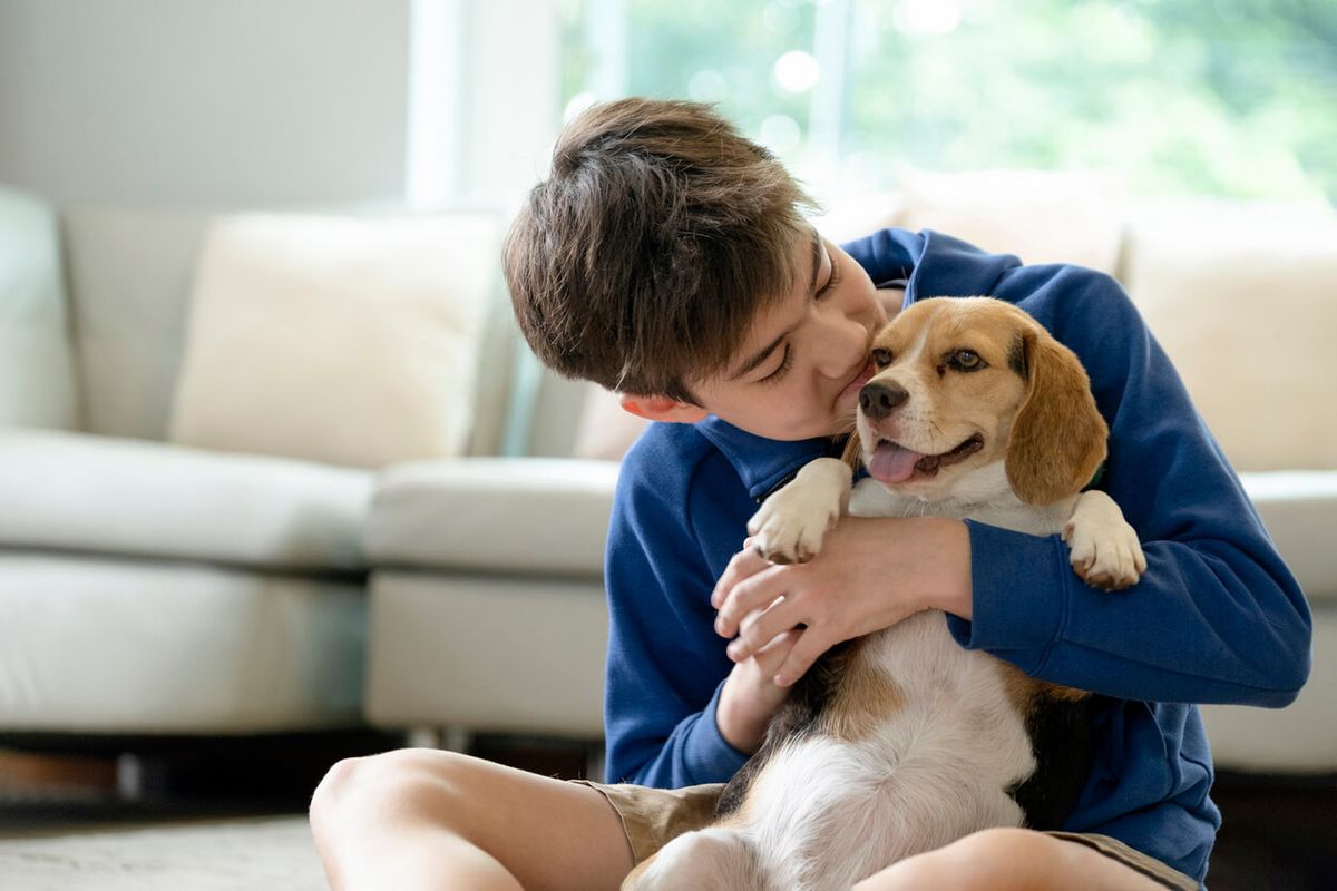 Boy playing with puppy