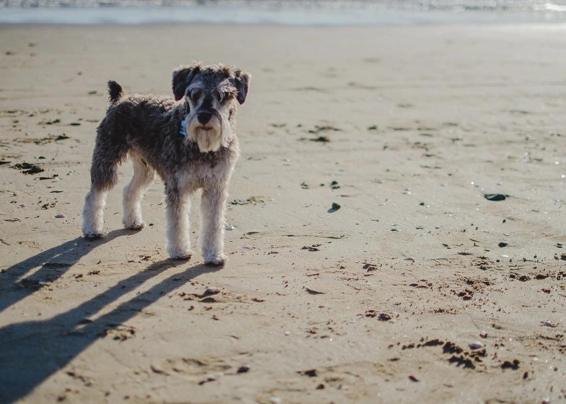Benllech Beach