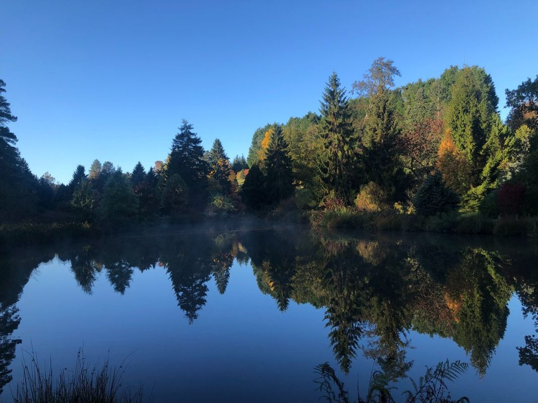 Bedgebury National Pinetum and Forest in Goudhurst, Kent