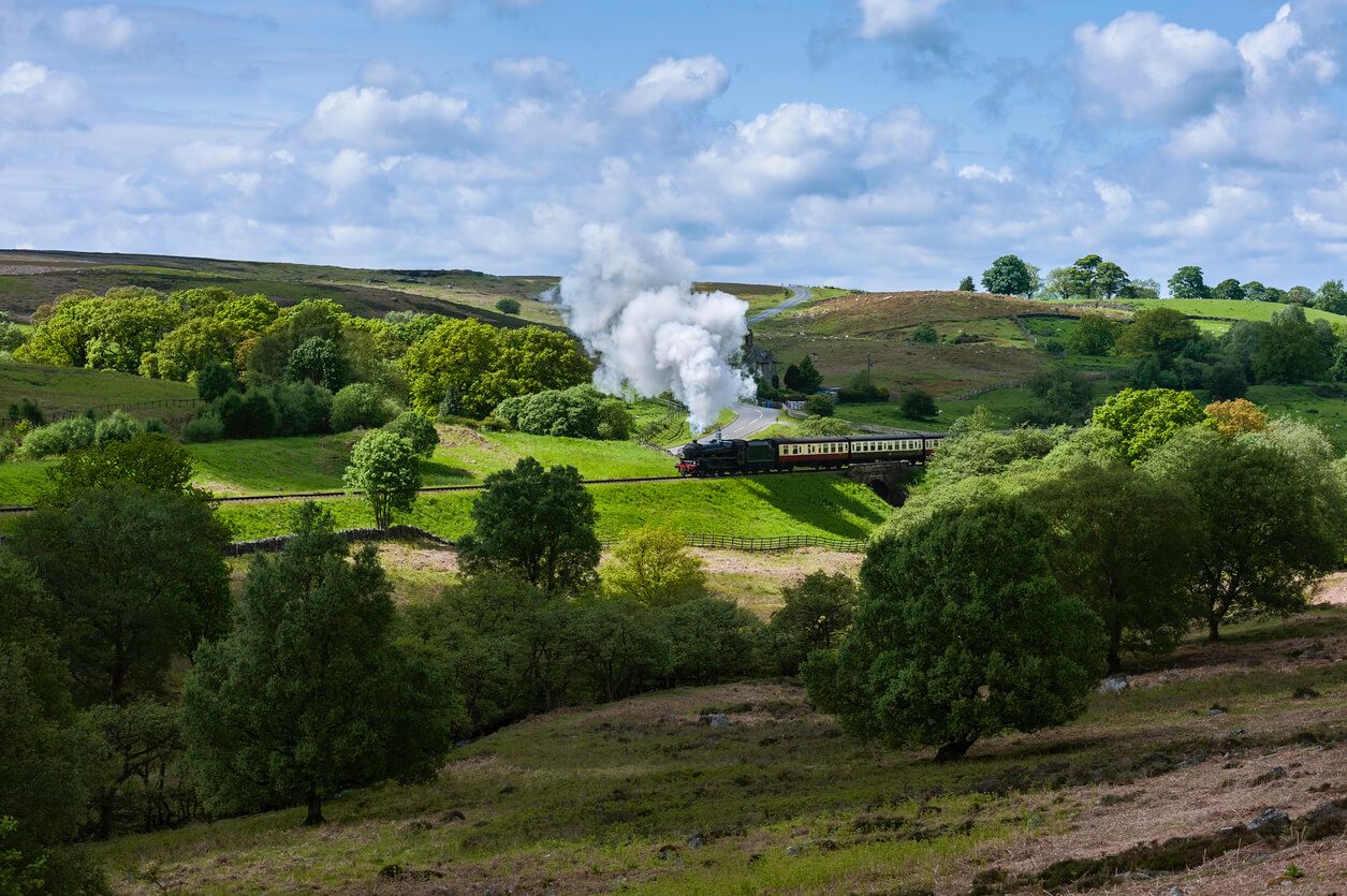 an image of North Yorkshire dog-friendly cottages with an enclosed garden
