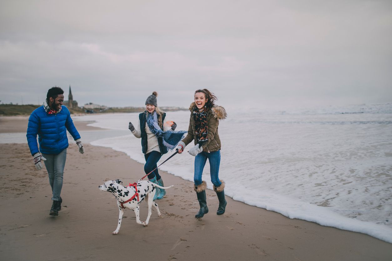 Dog-friendly beaches to visit in winter