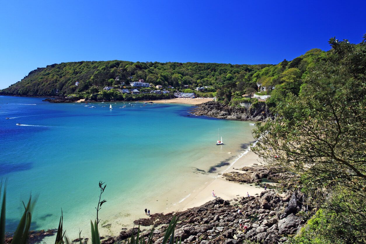 an image of Salcombe dog-friendly cottages with an enclosed garden