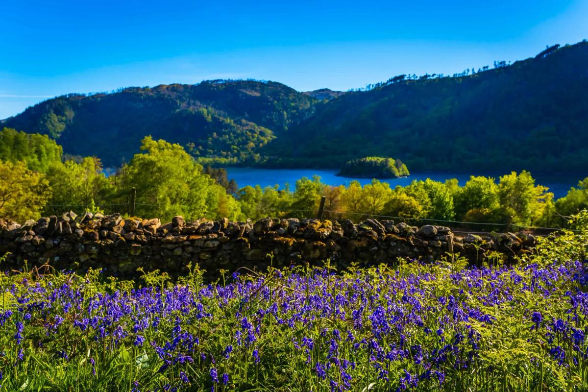 Thirlmere & Fisherplace Gill