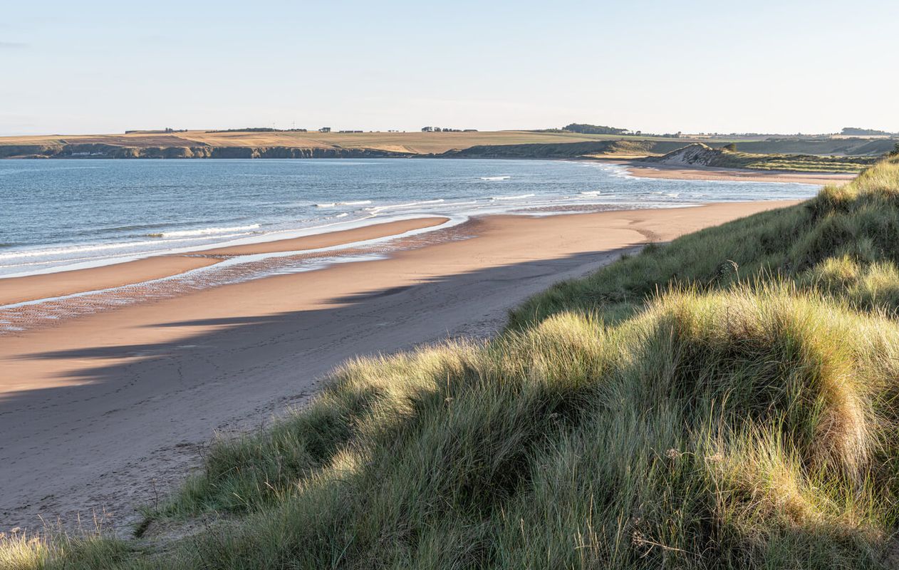 Angus – Lunan Bay