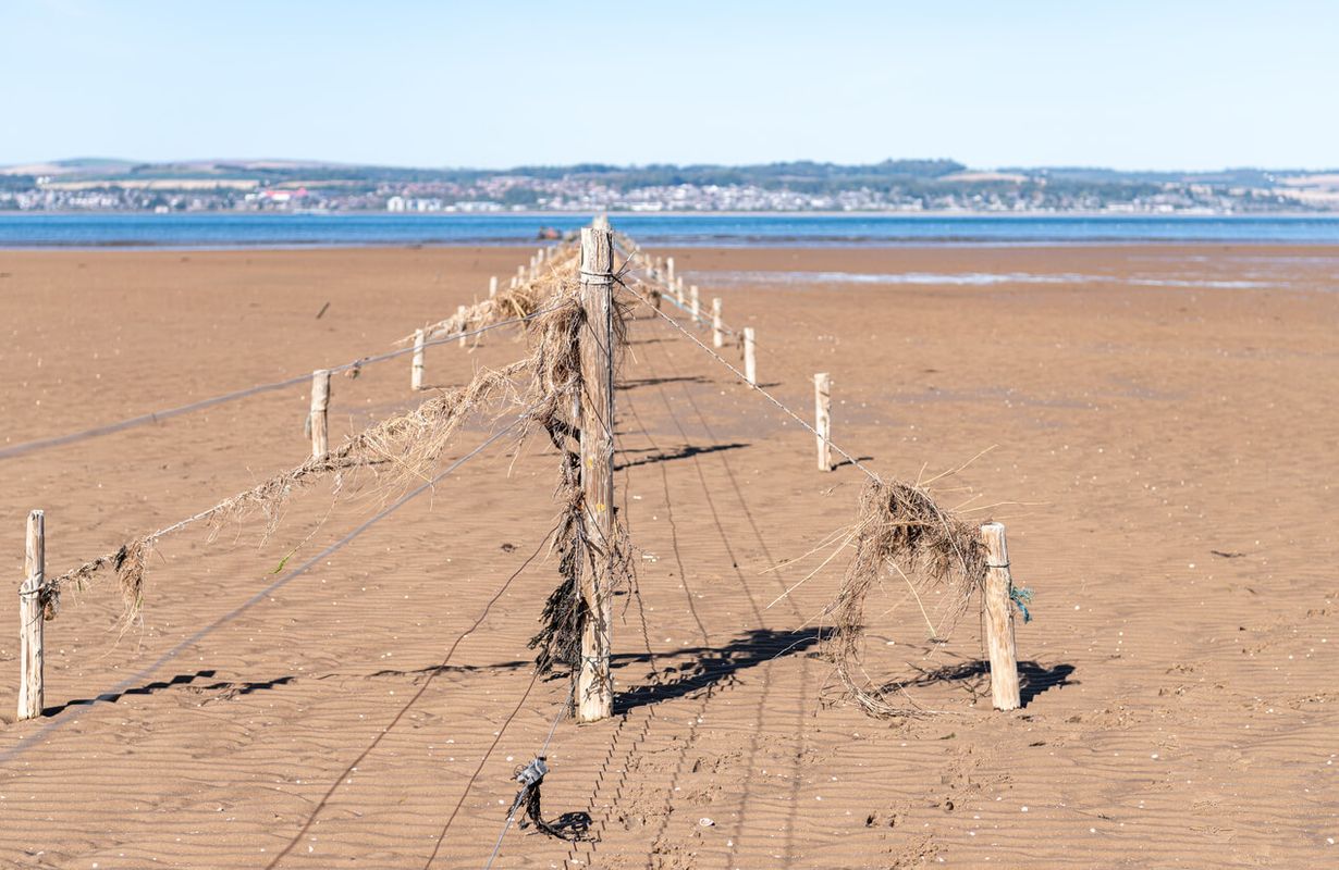Fife – Tentsmuir Sands