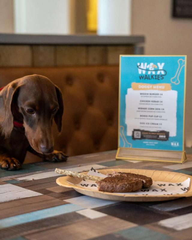 WAX at Watergate Bay