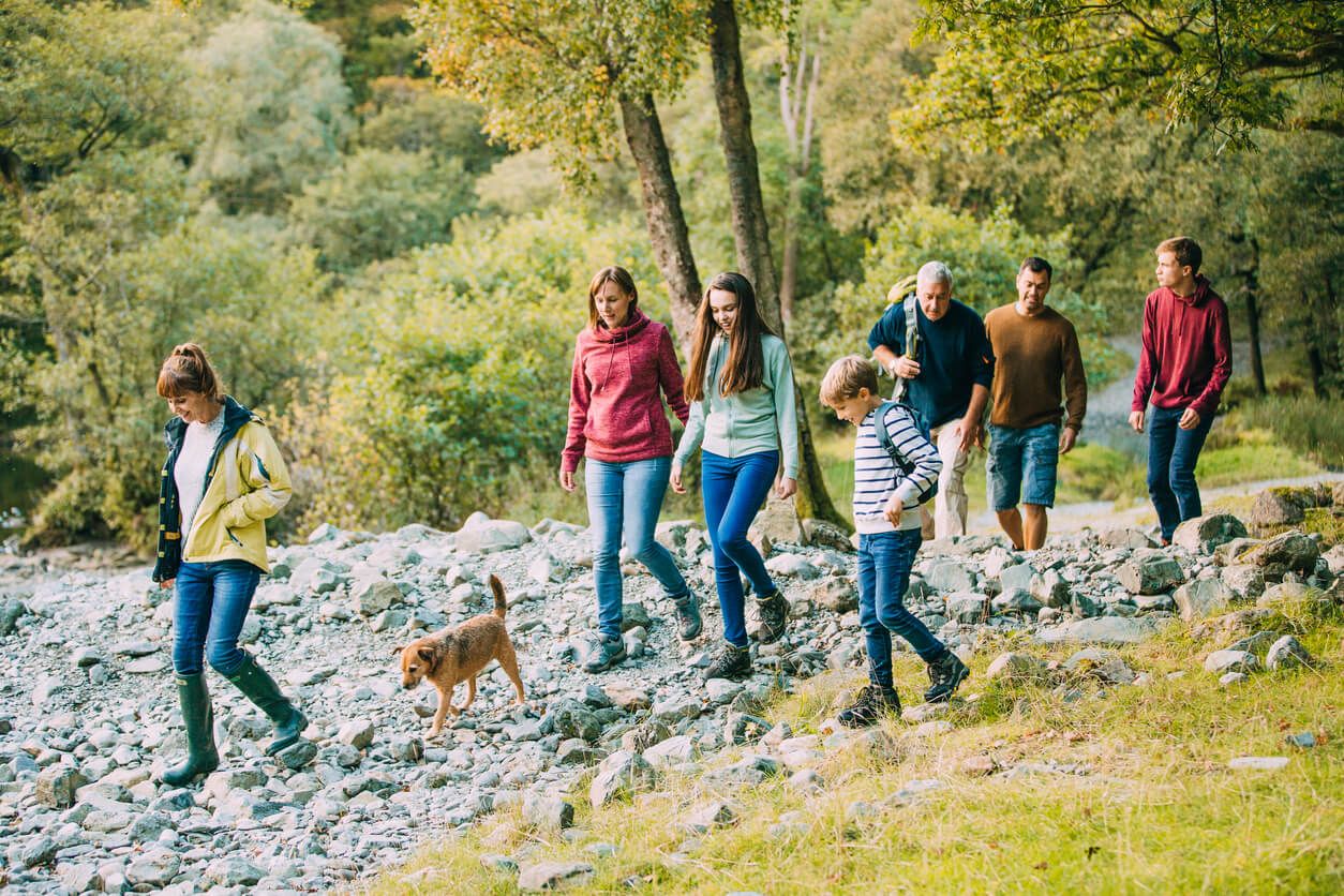 Big dog-friendly cottages to fit the whole family