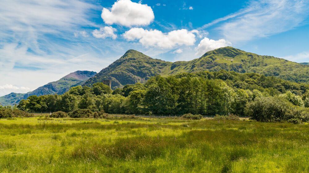 an image of Dog friendly log cabins in Gwynedd