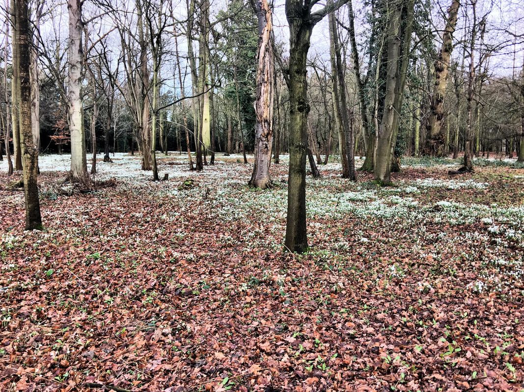 Attingham Park, Shropshire
