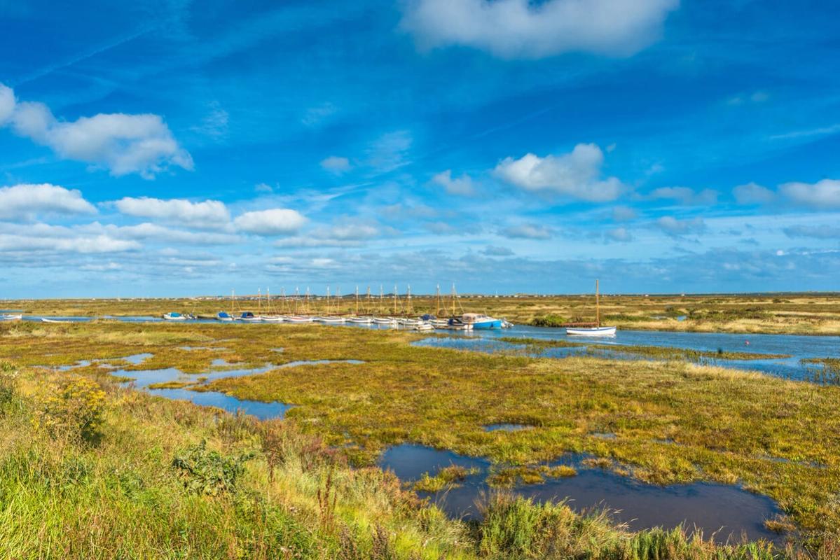 East of England – Blakeney National Nature Reserve, Norfolk
