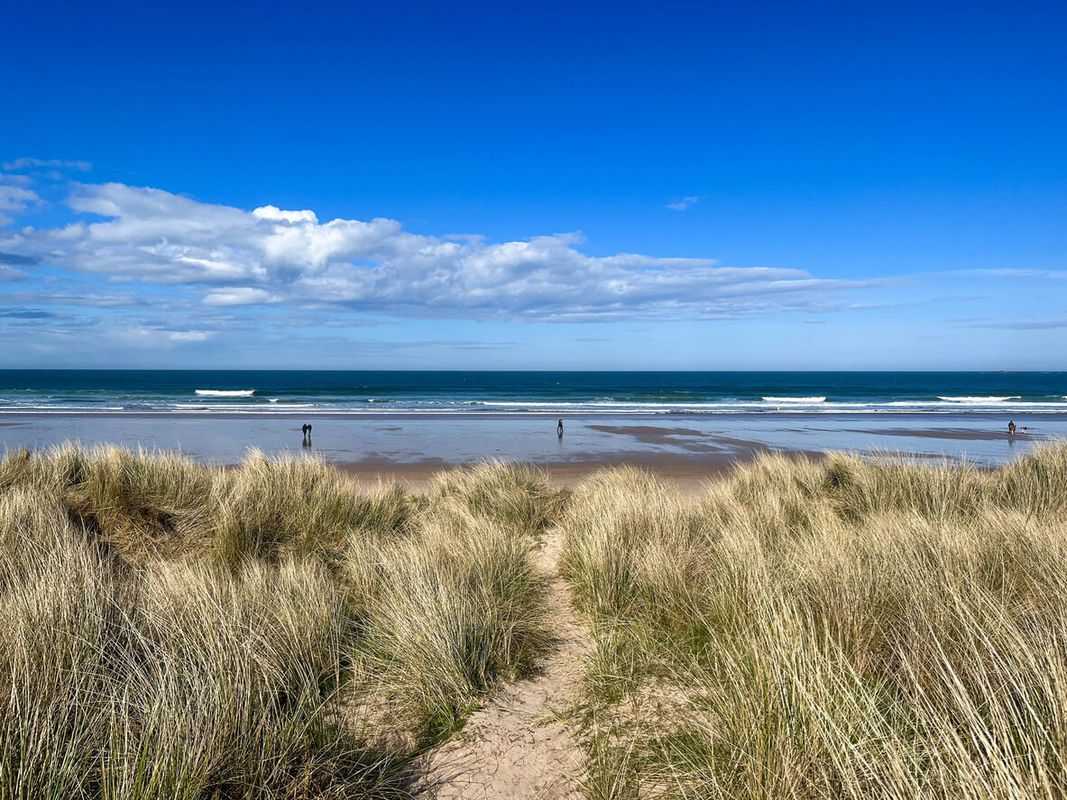 North East England – Bamburgh to Budle Bay