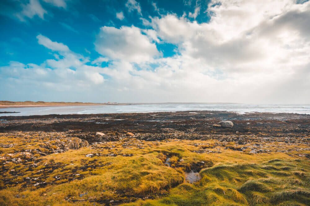 an image of Luxury dog friendly cottages in Rhosneigr