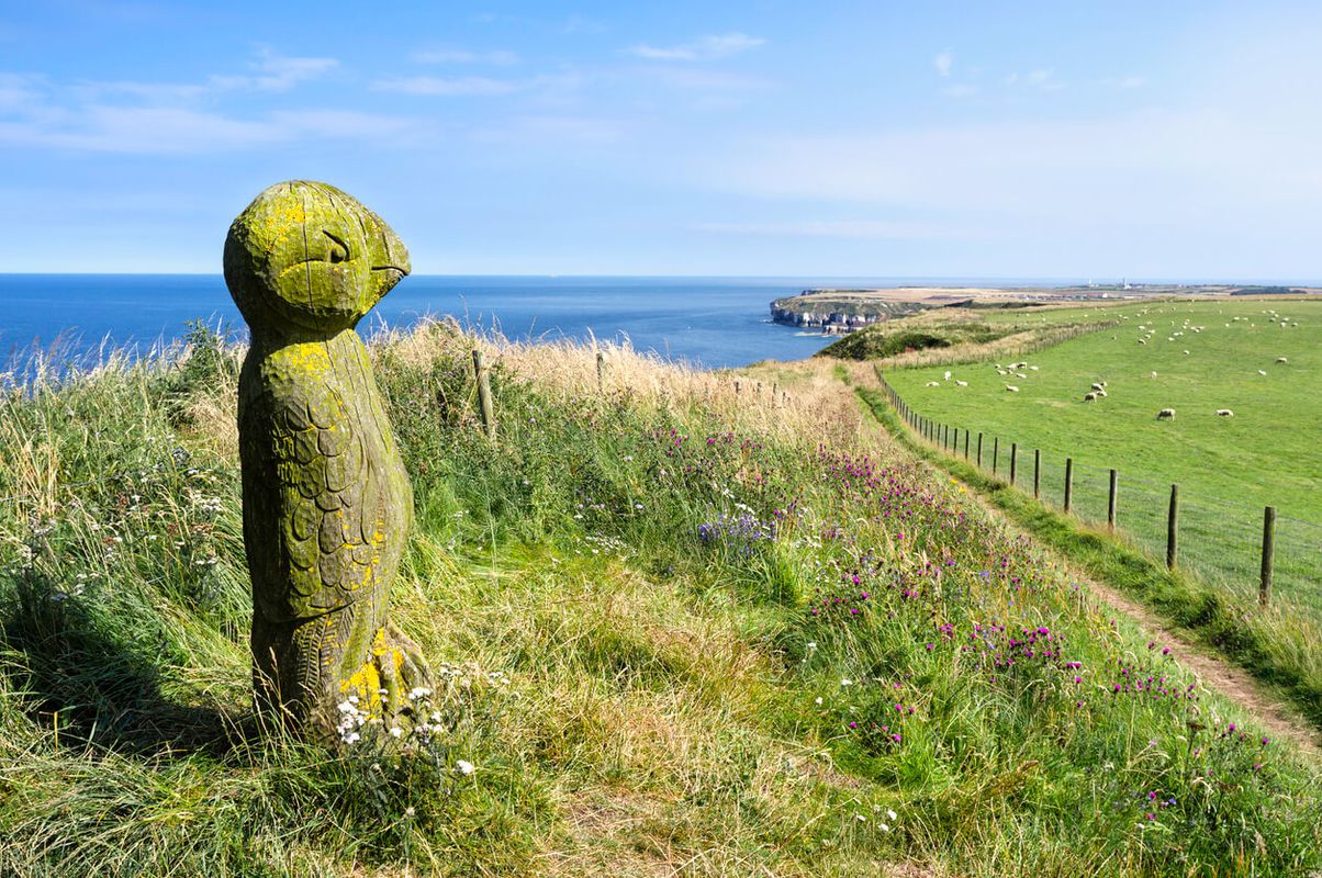 Bempton Cliffs