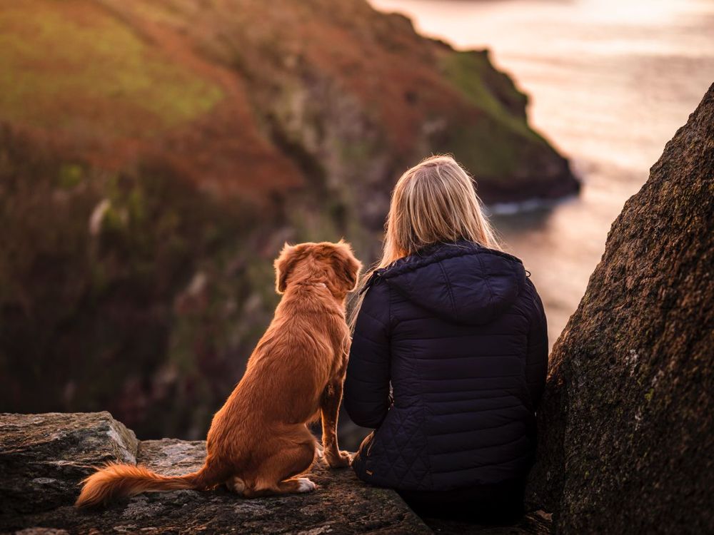 Woman and dog sitting on a cliff top